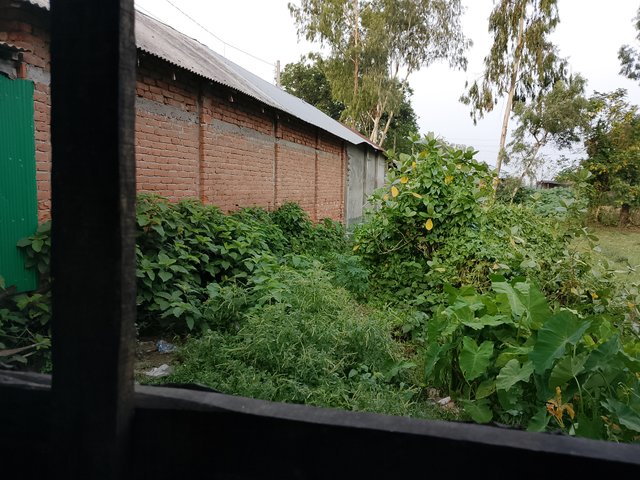 1000040831.jpg