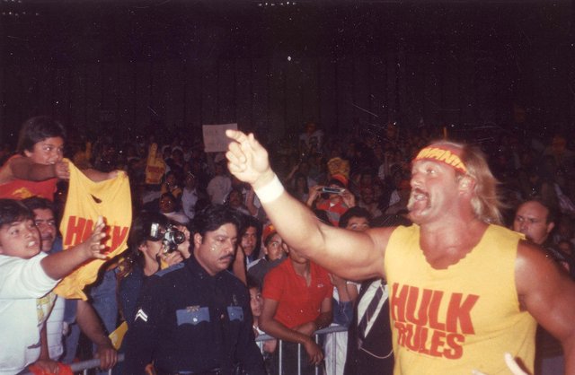 2048px-Hulk_Hogan_Pointing.jpg