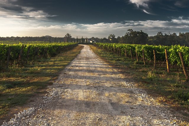 road-428039_1280.jpg