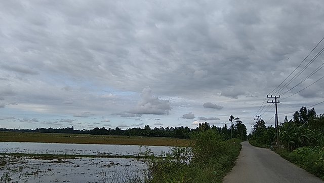 PANO_20210812_161324.jpg