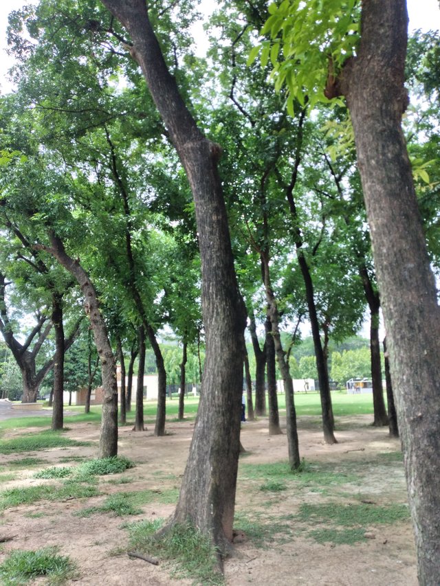20250626_105330.jpg