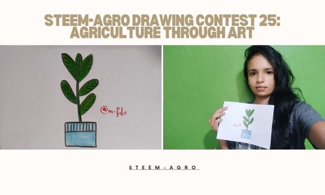 Steem-Agro Drawing Contest 25 Agriculture Through Art.jpg