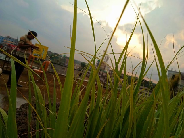 IMG-20250913-WA0181.jpg