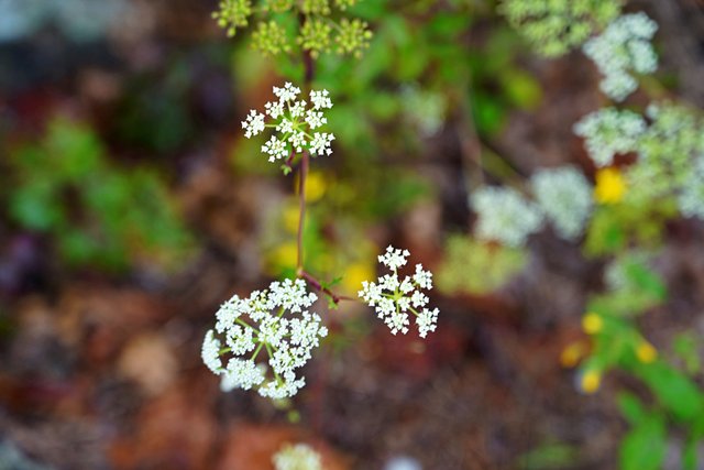 b-DSC02232.JPG