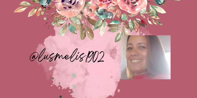 @lusmelis1902_20250702_110925_0000.png