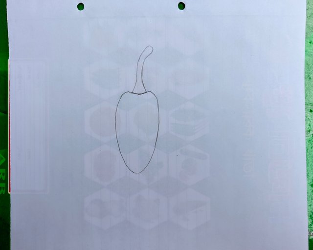 1000017863.jpg