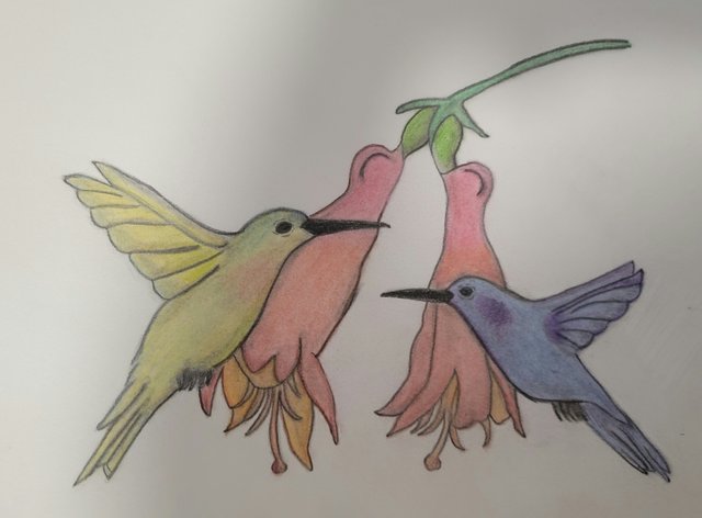 hummingbirds.jpg