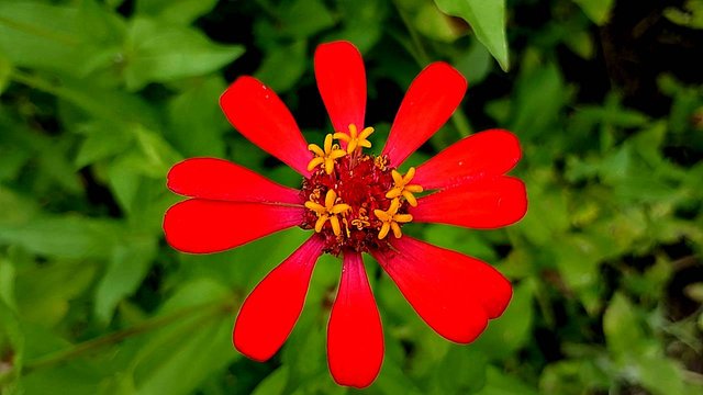 IMG_20250930_164121.jpg