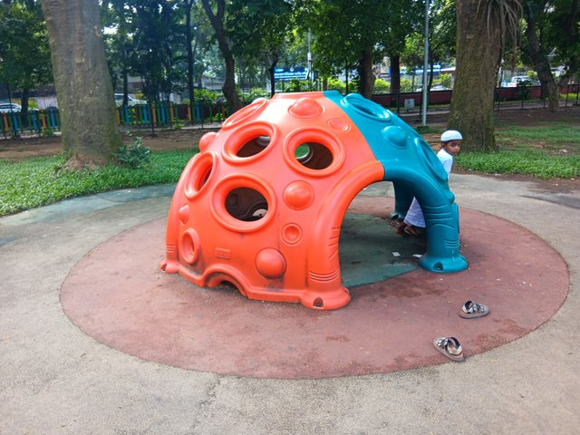1000039332.jpg
