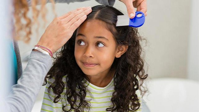 Head-Lice-Treatment.jpg