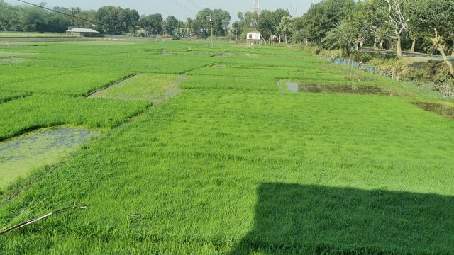IMG_20250208_093453.jpg
