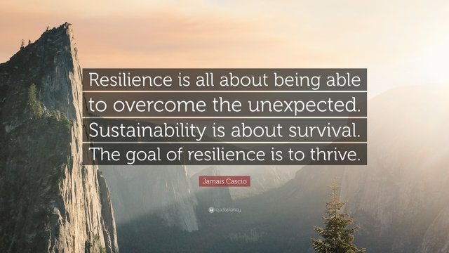1248904-Jamais-Cascio-Quote-Resilience-is-all-about-being-able-to-overcome.jpg