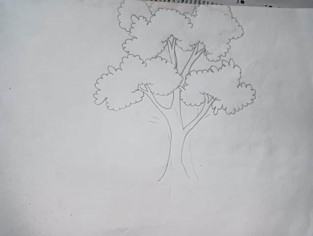 IMG-20231030-WA0009.jpg