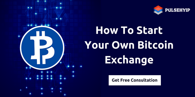 how-to-start-your-own-bitcoin-exchange.png