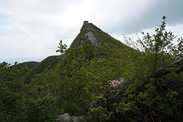 b-DSC01509.JPG