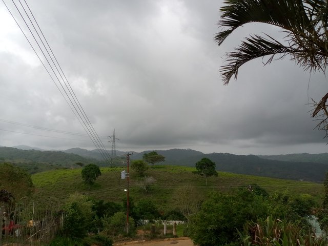 IMG_20250527_171250_139.jpg