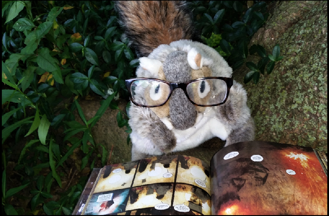 squirrel glasses (3).png