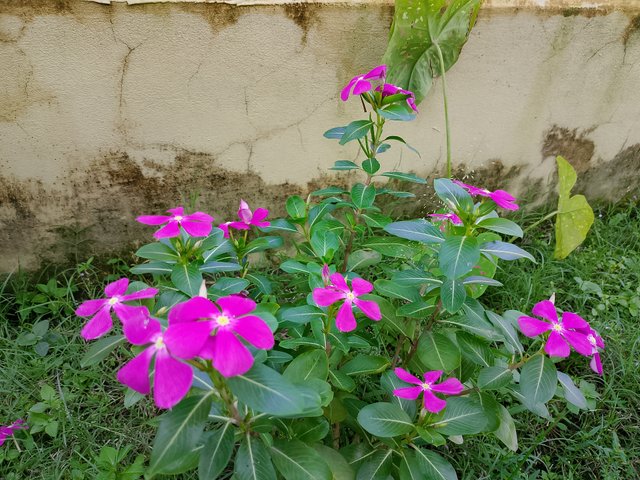 1000042380.jpg