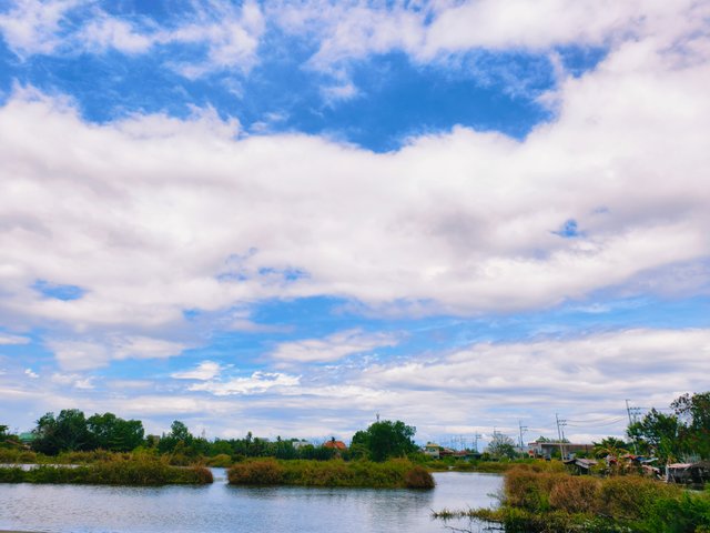 IMG_20250622_123902.jpg