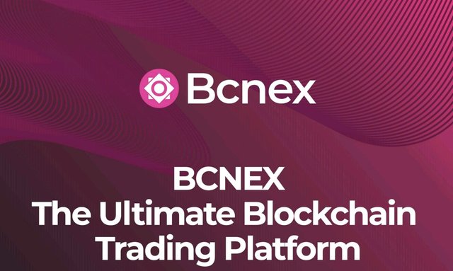 Hasil gambar untuk bounty BCNEX