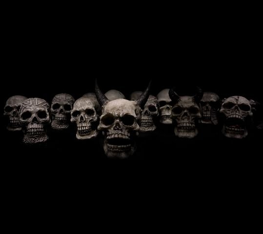 skulls-623532__480.jpg