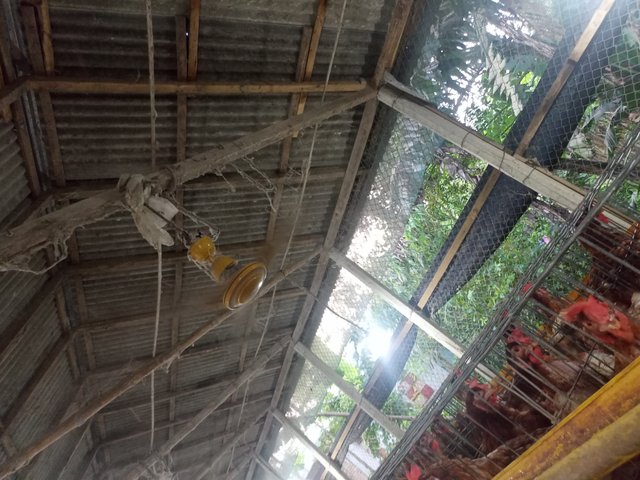 IMG20250801182606.jpg