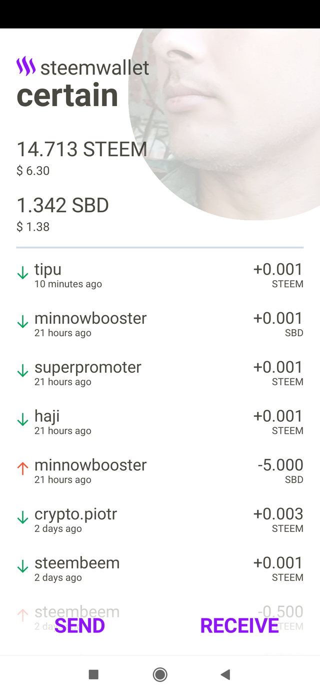 Screenshot_2019-06-12-12-17-33-968_app.steemwallet.roelandp.png