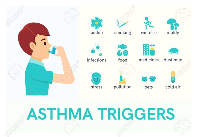 101534414-asthma-triggers-flat-icons-.jpg