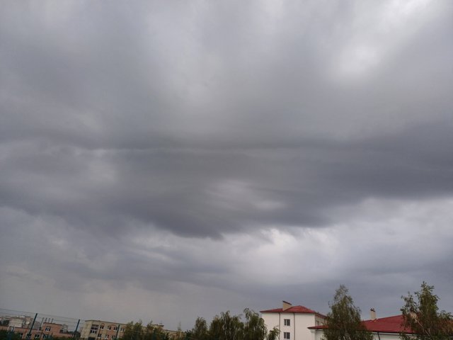 20250626_054656.jpg