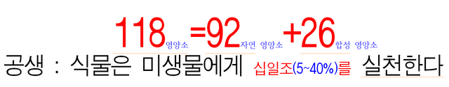 118영양소.png