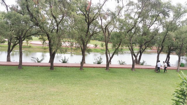 IMG_20240526_114752.jpg