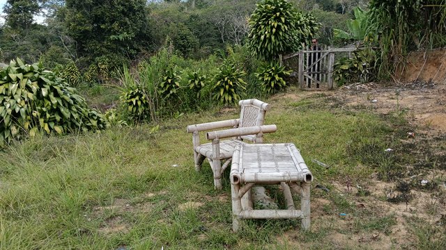 IMG20250727162836.jpg