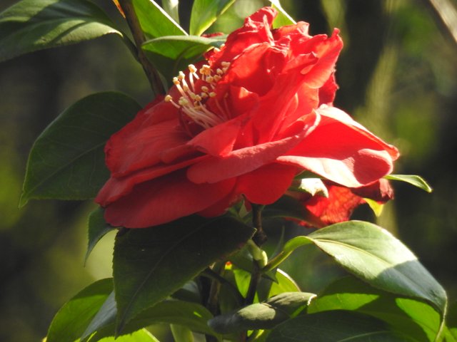 DSCN1130.JPG