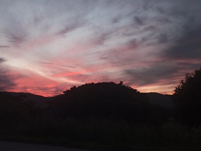 IMG_20250728_095920.jpg