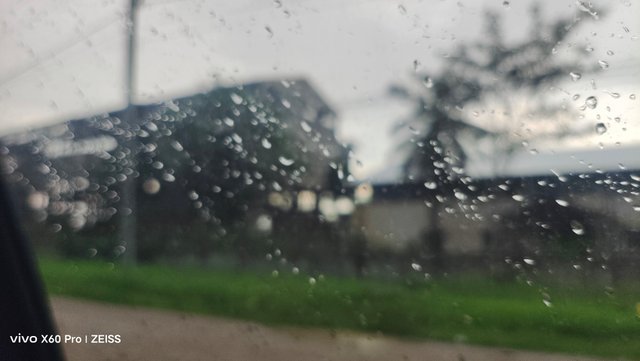1000671011.jpg
