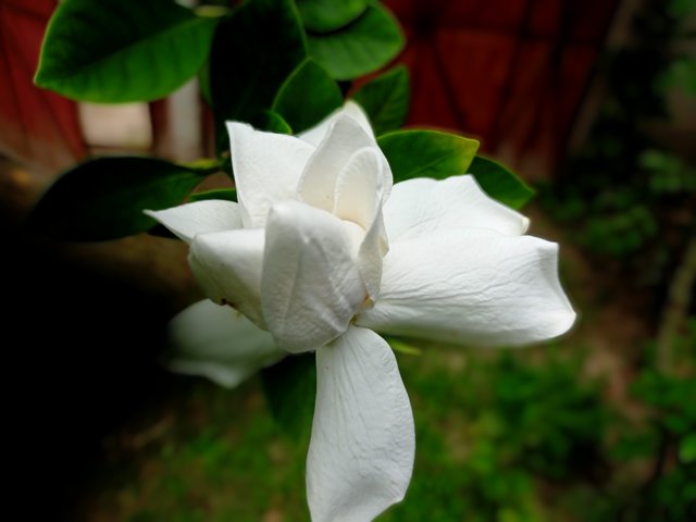 IMG_20250624_100748.jpg