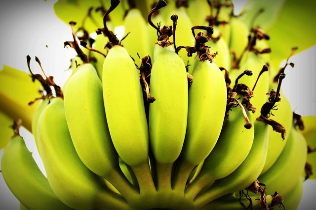 banana-1549158_1280.jpg