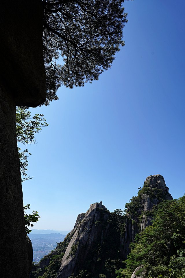 b-DSC08896.JPG