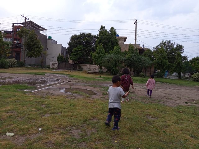 IMG-20250524-WA0026.jpg
