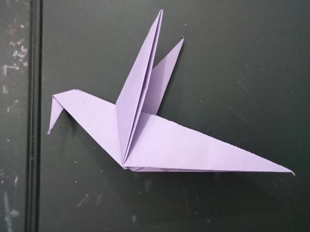 1000029470.jpg