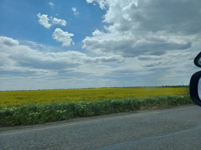 20250510_130843.jpg
