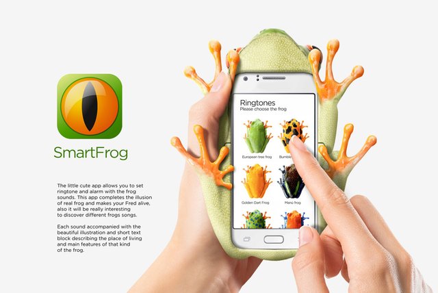 Smart-Frog-010_1000.jpg