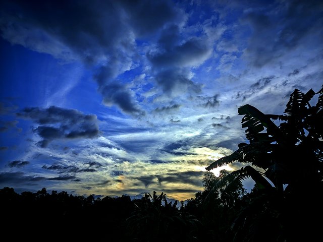 IMG_20250625_103621.jpg