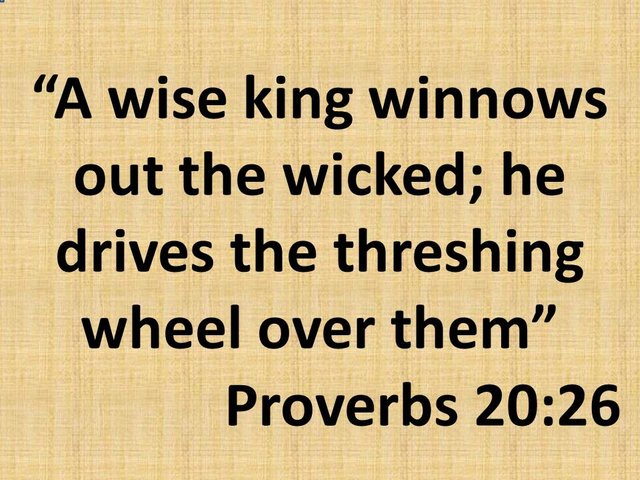 The good government. A wise king winnows out the wicked; he drives the threshing wheel over them.jpg