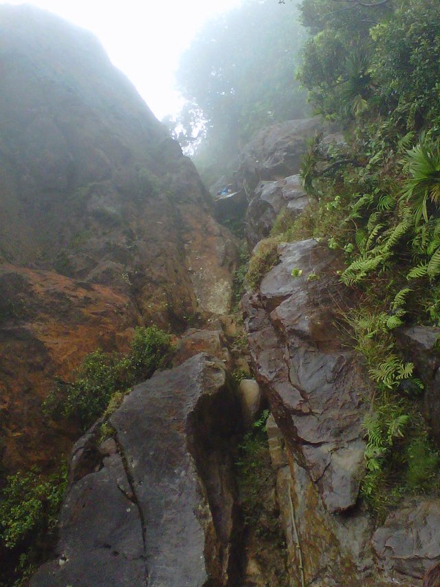 Cerro Santa Ana, Venezuela.jpg