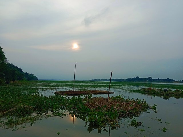 IMG_20250808_202717.jpg