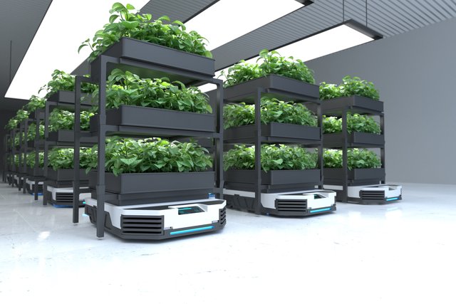 automatic-transport-robot-transporting-plants-smart-robotic-farmers-concept.jpg
