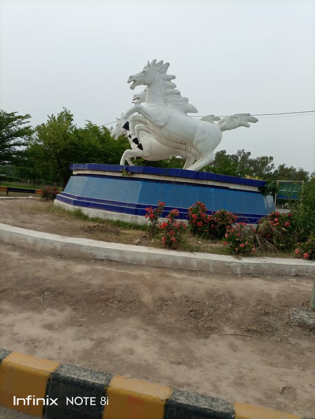 IMG_20210512_163304_099.jpg