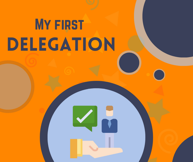 My first Delegation.png