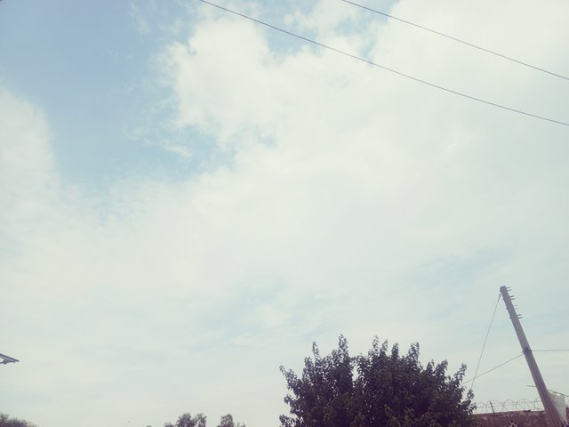 1752574680675.jpg